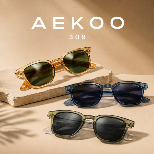 ARKOO  //  309