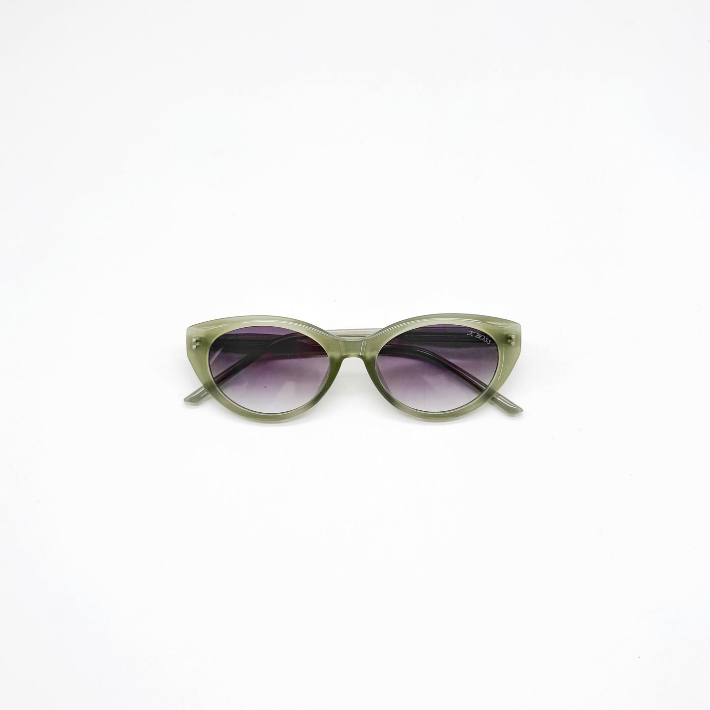 HOMI  //  310