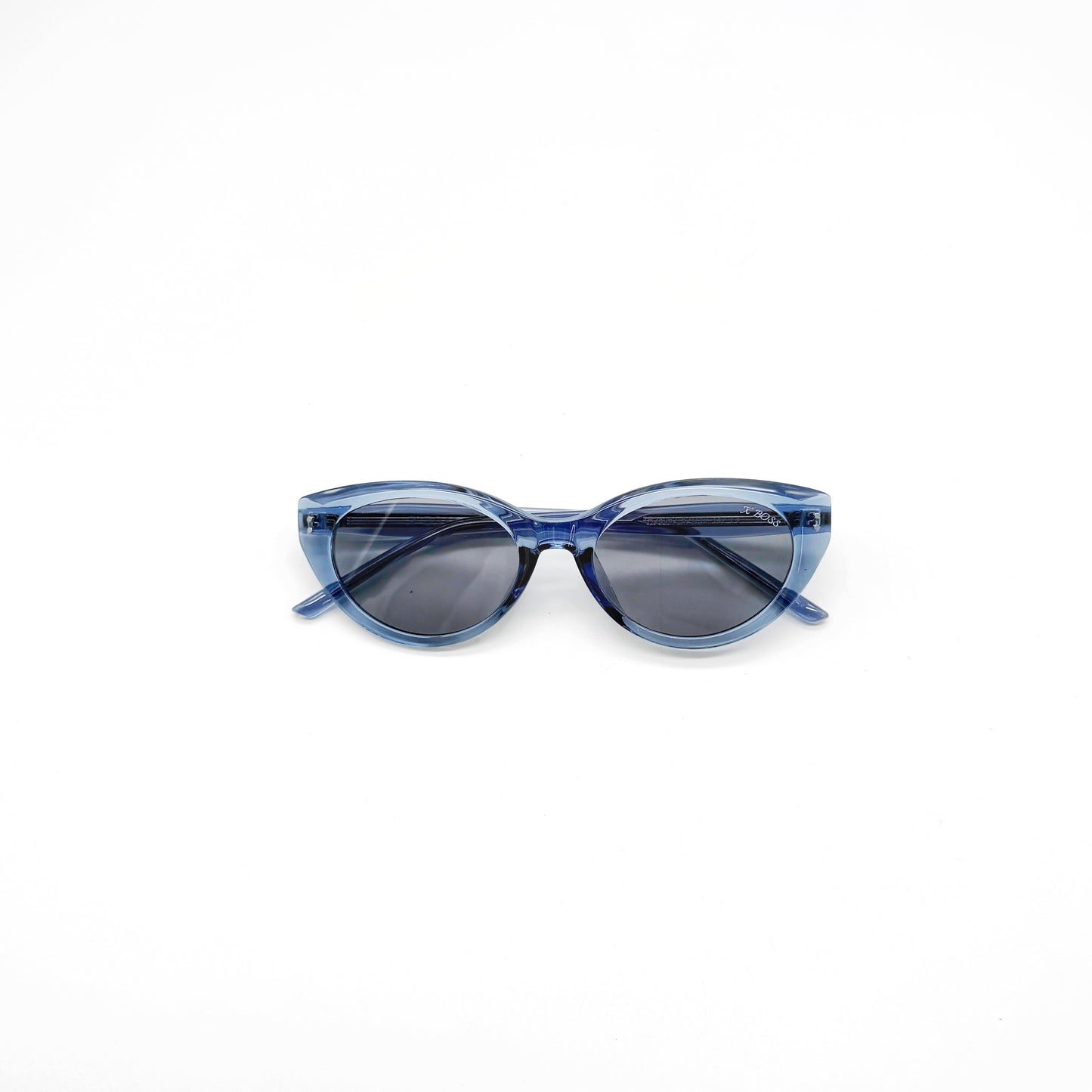 HOMI  //  310