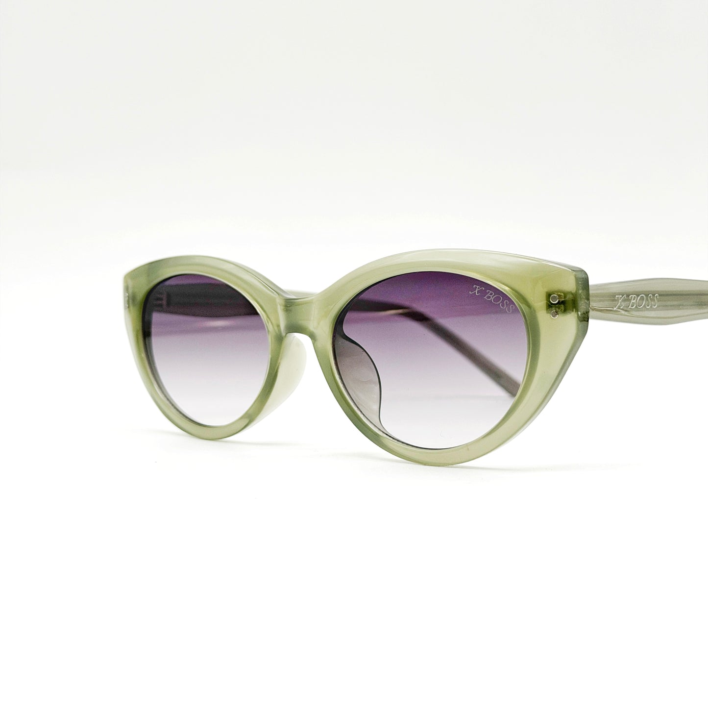 HOMI  //  310