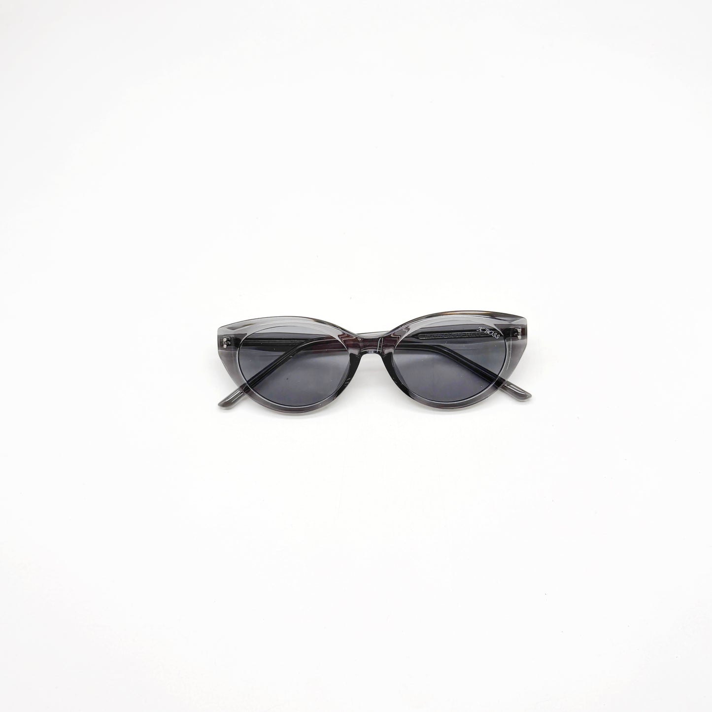 HOMI  //  310